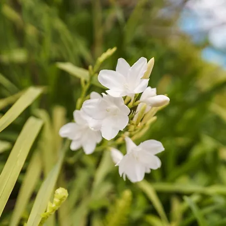 Guestready - Rustic Charm In Peaceful Madeira Πανσιόν